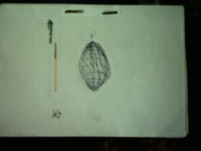 Sketch Structures and Topologies of Fibonacci numbers and Fractals